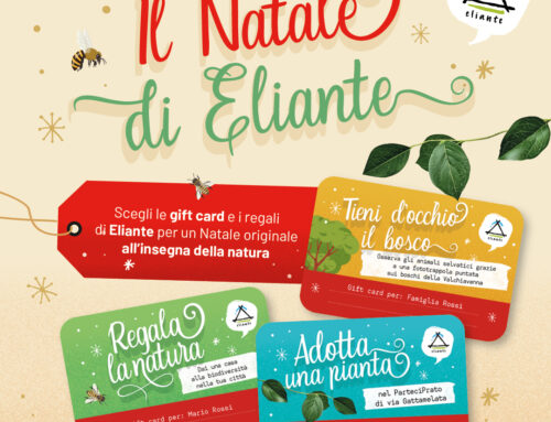 ll Natale di Eliante 2024